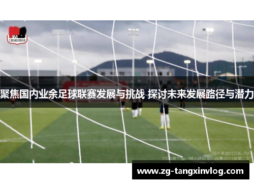 聚焦国内业余足球联赛发展与挑战 探讨未来发展路径与潜力